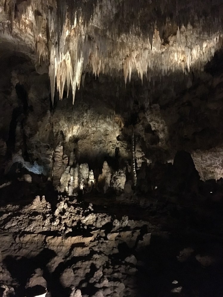 456603EA-4732-4FCD-9E66-417B2F908A93