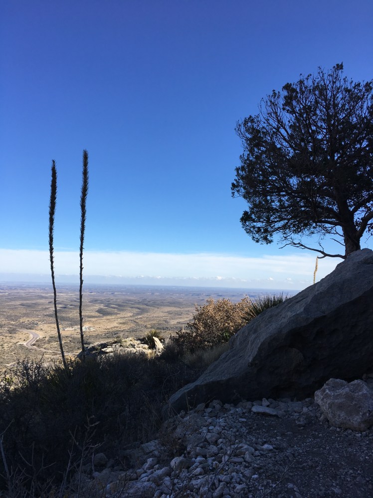 22F3FC8F-D8FE-423A-8976-0A277DE113D5