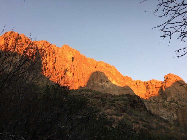 30E9274B-8698-42AA-B906-91D433FB3310