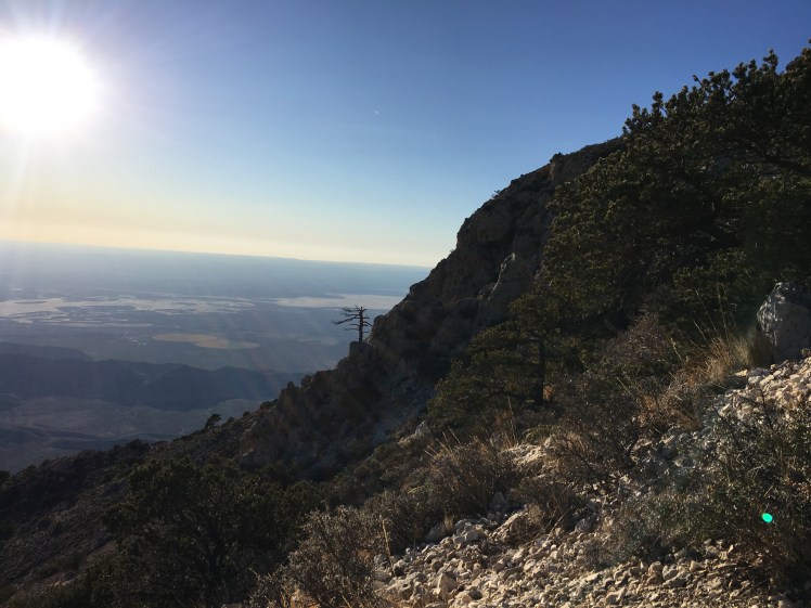 40530874-7ED2-43C2-9E3E-C1B6BBB51C34