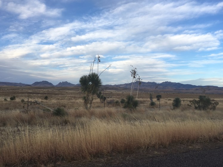 5306EBCB-89F4-470A-B543-6A1F456AE39B