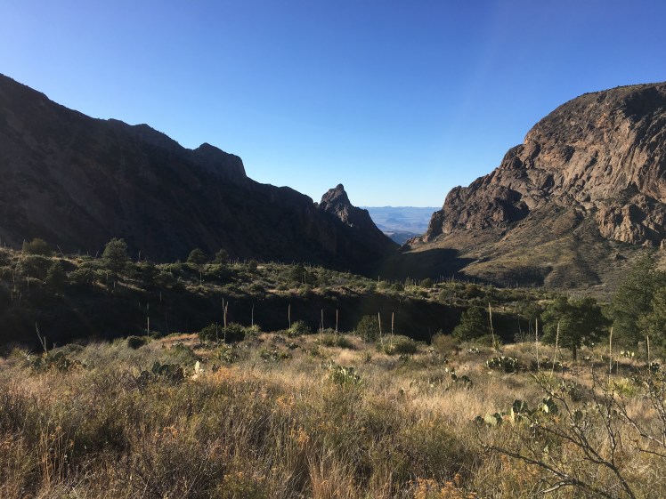 6AA3C28D-2A22-43D2-9CAE-B12399C71296