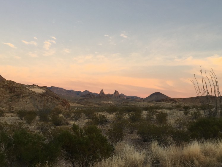 7C8C7CA1-5E9A-4B3F-8C22-4FDC44E4061E