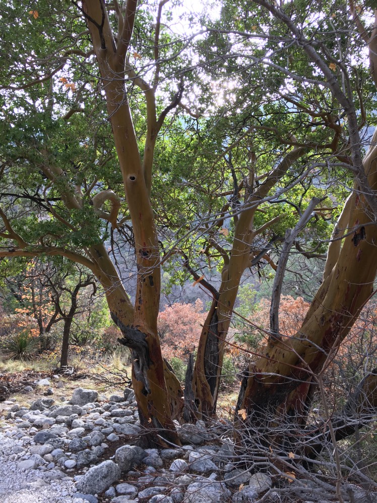 87E24F8F-D457-4E2A-B643-B6D921C3977C