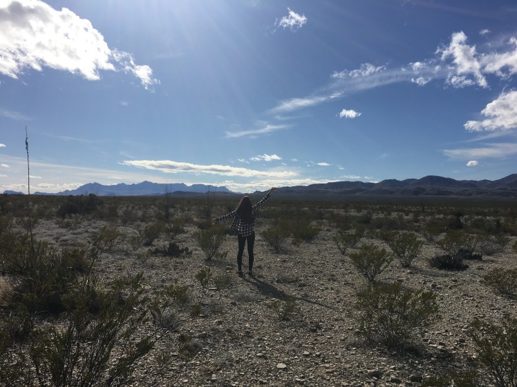 8ECE72E4-2DE6-4BD2-960E-121B9DF7A2A2