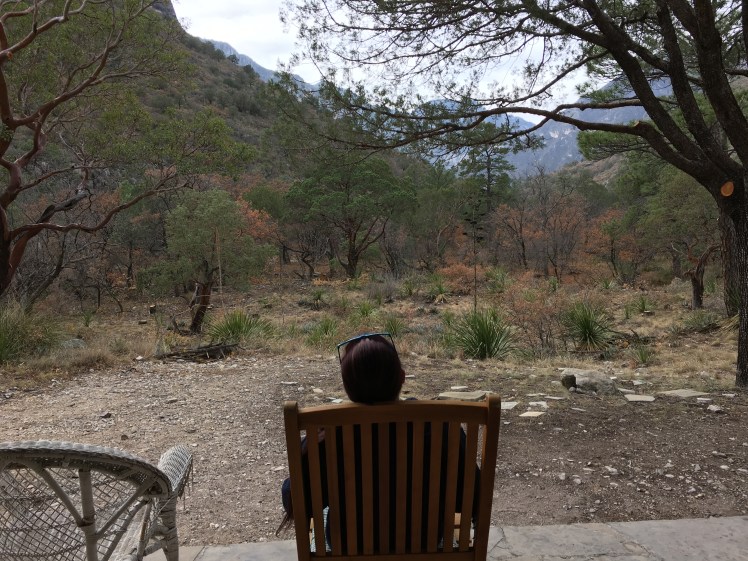 94CF31B9-8C6F-443C-8CBF-9B4612CE0CED