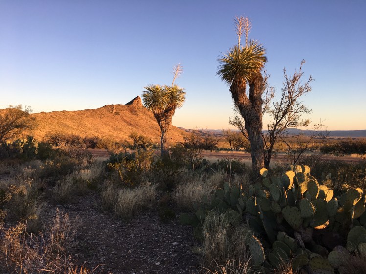 967E4FEB-E8B1-42AB-87B0-B2A94D914CB6