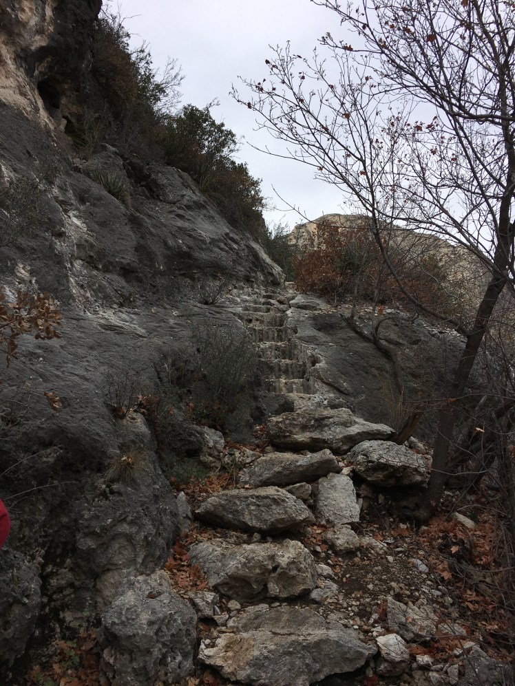 9CF9E3D6-551B-42E3-A5C6-CE9E1A5E8B75