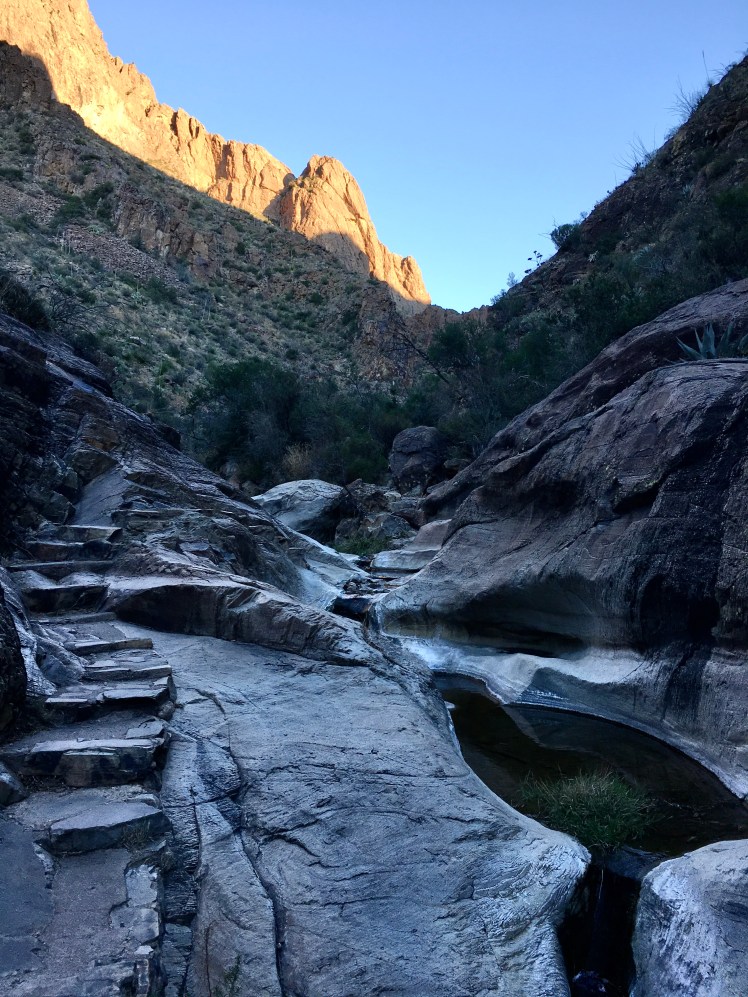 A4E9C1E3-52C2-4D03-8A77-3A770E63A10A_1_201_a