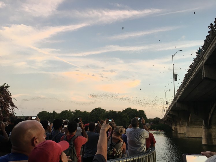 A5031995-2CF0-4135-99FF-341ED252BAAE