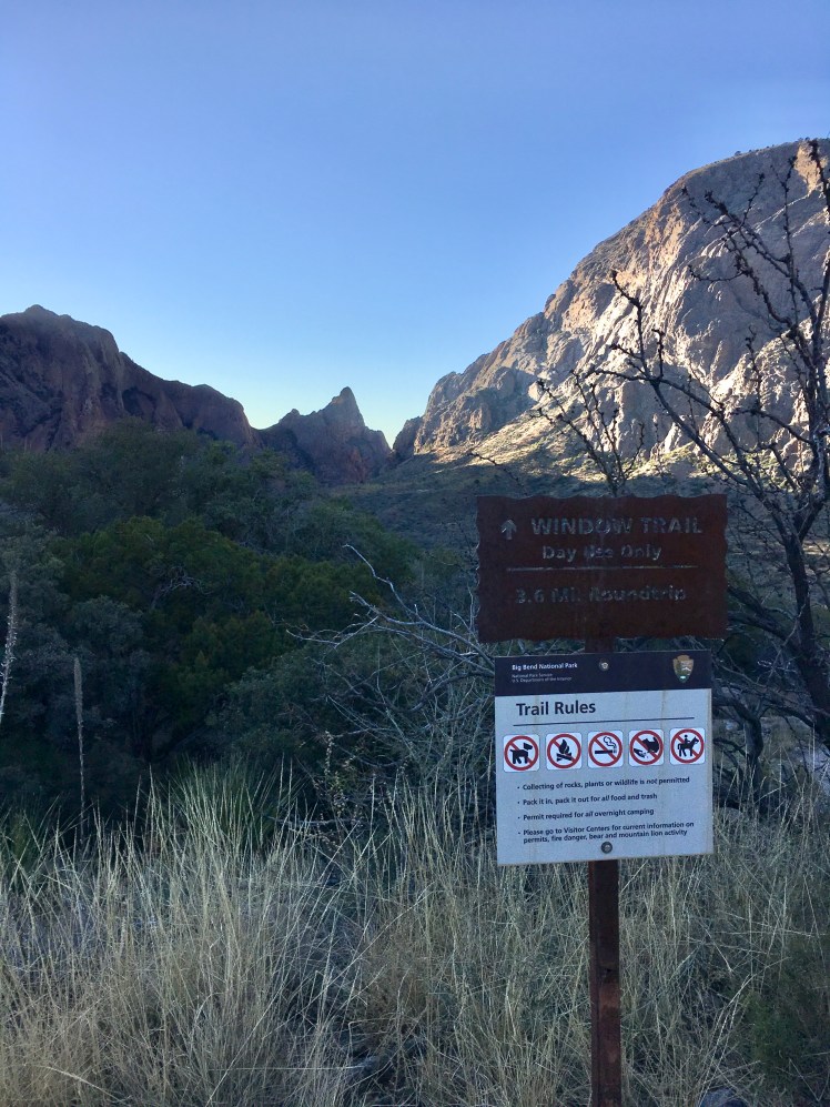 AF3EAC2D-AA45-4EFB-BD27-DC81FFEA3D48_1_201_a