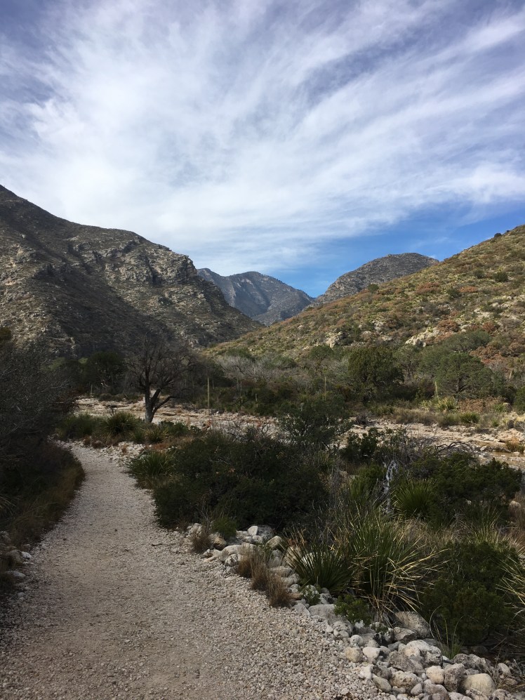 B6D36DA2-16DE-42DB-83C8-CC1C88DB2179