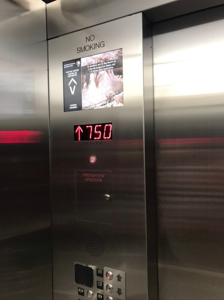 C3DE1C24-963B-4B8F-9DB6-4E4DE85C6CBE_1_105_c