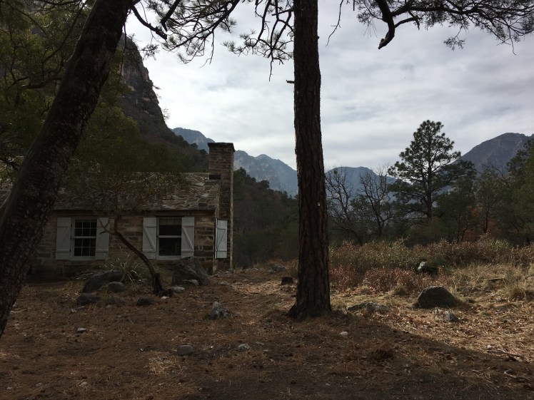 DC300FD6-C29E-46E7-A62D-56041C21458E