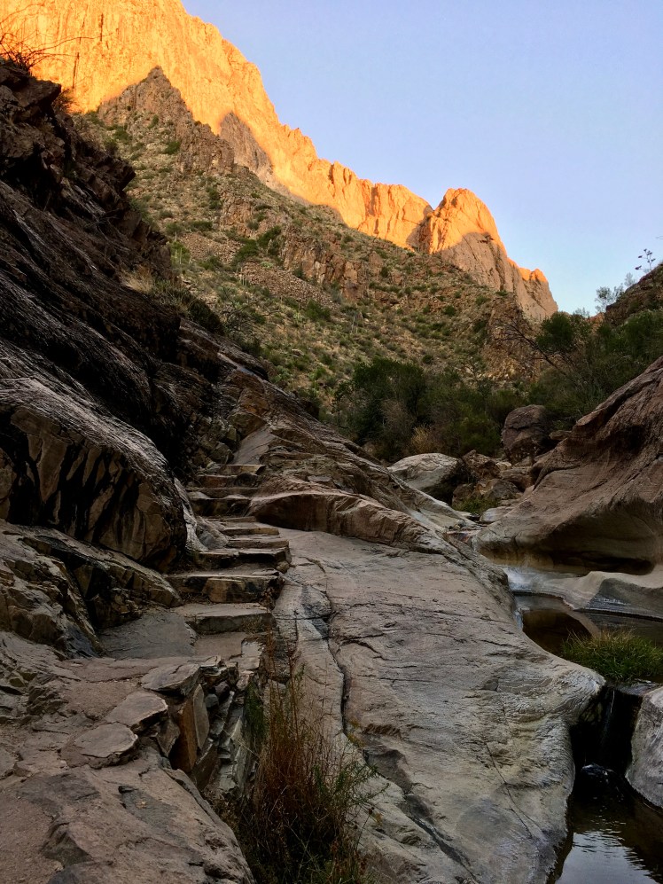 EF170373-2FFA-4AFA-9572-D5CFA7A35DE8_1_201_a