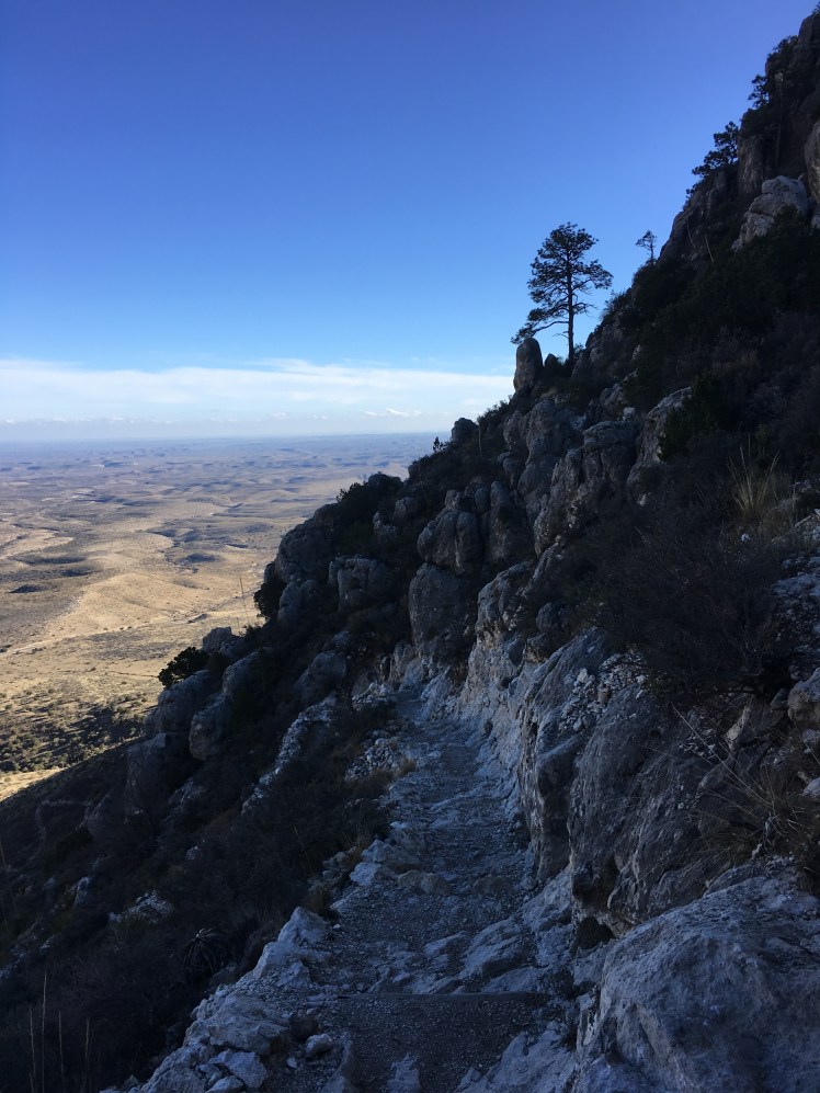 F4B27E74-69D8-4769-8F8C-0D98C41FFF22